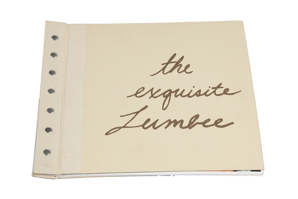 Cover of the book The Exquisite Lumbees.