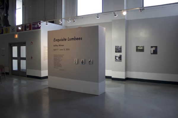 The Exquisite Lumbees and Hard Workin' Pilgrims exhibit; photos on walls.