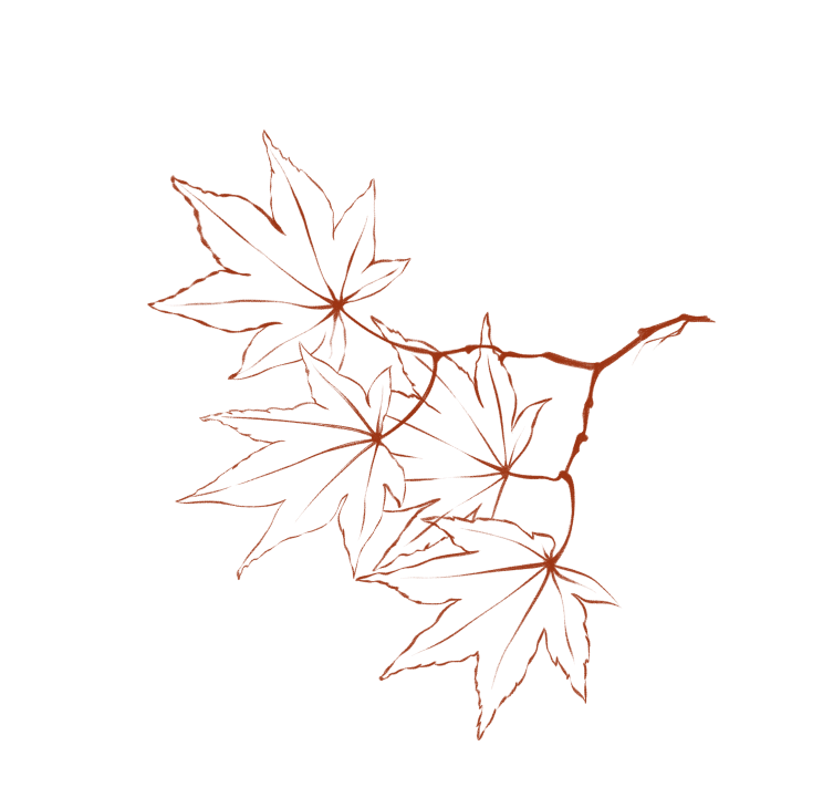 An illustration of maple leaves.